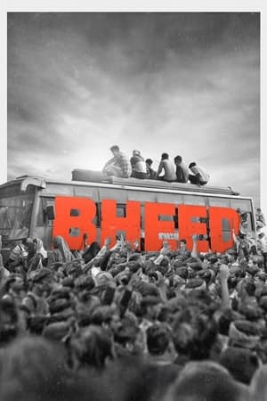 Bheed 2023 Hindi HDRip 720p – 480p